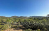 Maison à vendre à Grimaud — Vue nature — photo 1