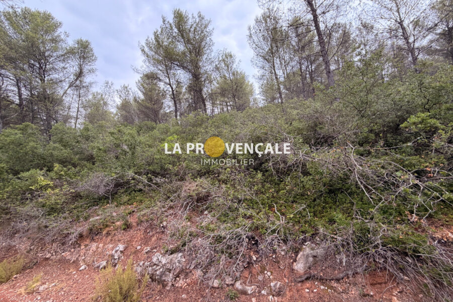 Terrain à vendre à Auriol — Vue nature — photo 3