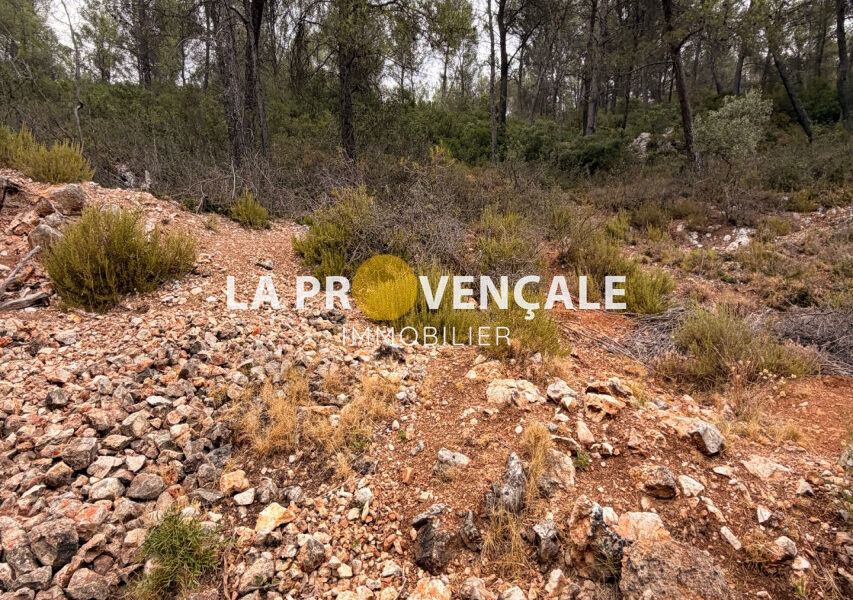 Terrain à vendre à Auriol — Vue nature — photo 4