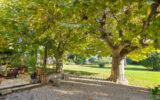 Maison à vendre à Cavaillon — Vue parc & jardin — photo 1