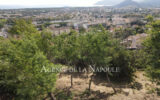 Maison à vendre à Mandelieu-la-Napoule — Vue mer — photo 19