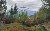 Maison à vendre à Jacob-Bellecombette — Vue montagne — photo 13