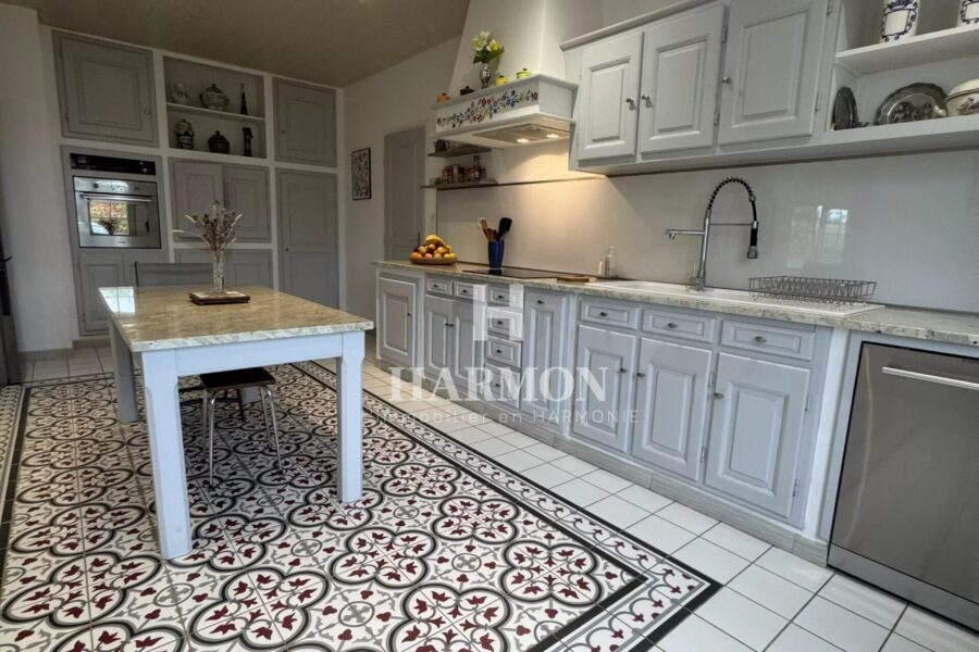 Maison à vendre à Salies-de-Béarn — Vue montagne — photo 4