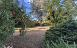 Maison à vendre à Pineuilh — Vue parc & jardin — photo 1