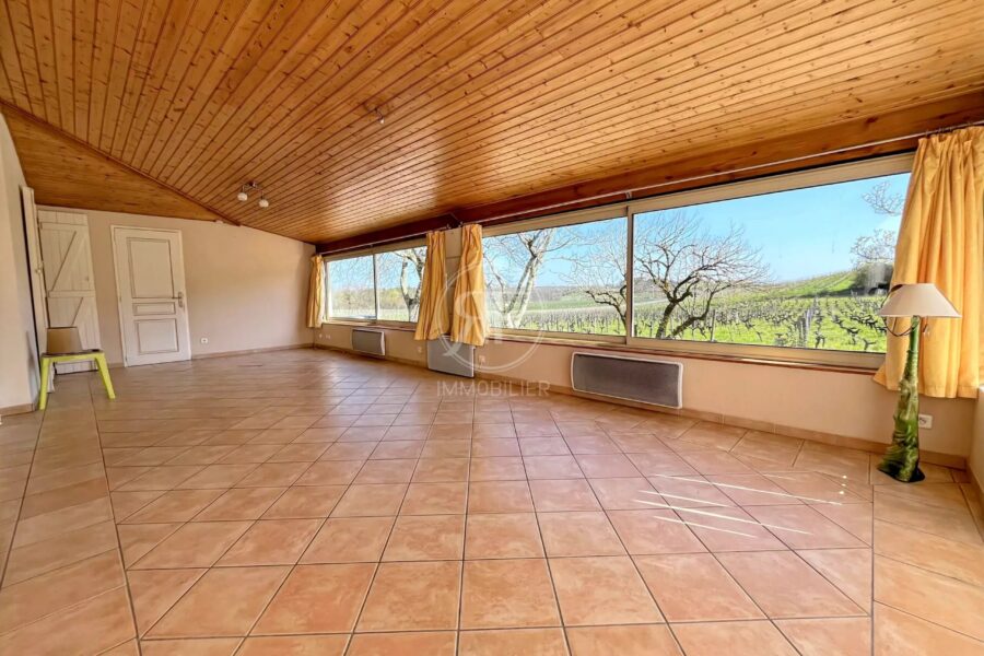 Maison à vendre à Saint-Émilion — Vue vignes — photo 5