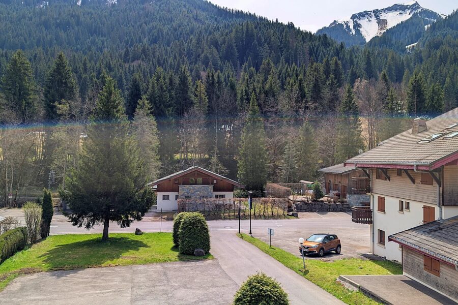 Appartement à vendre à Châtel — Vue montagne — photo 9