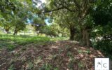 Terrain à vendre à Le François — photo 16