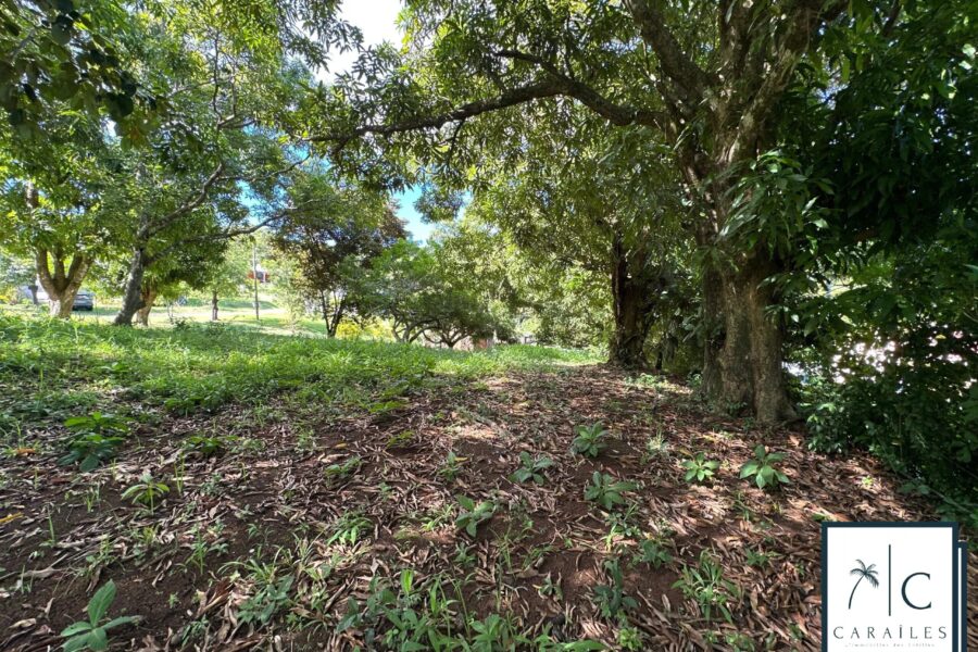 Terrain à vendre à Le François — photo 16
