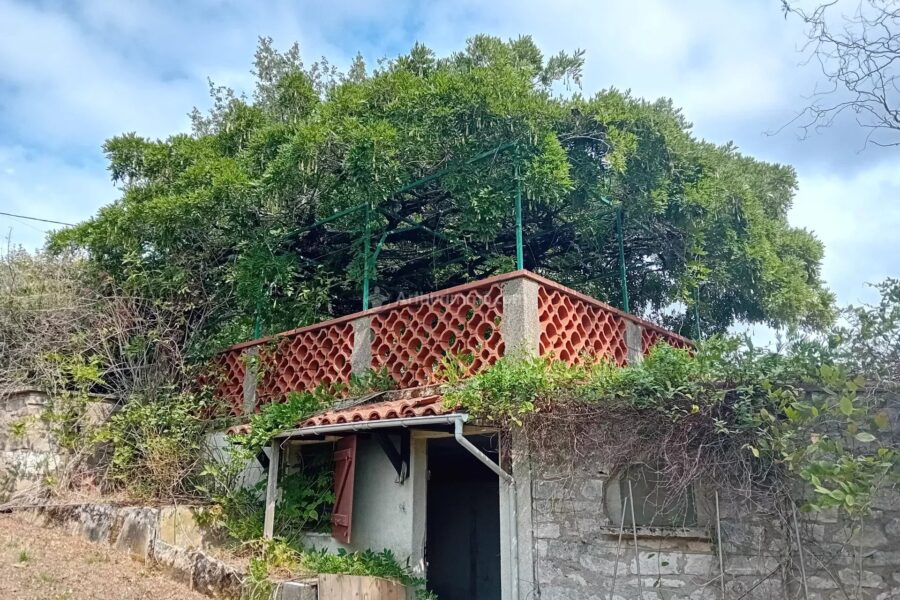 Maison à vendre à Mirandol-Bourgnounac — Vue nature — photo 15