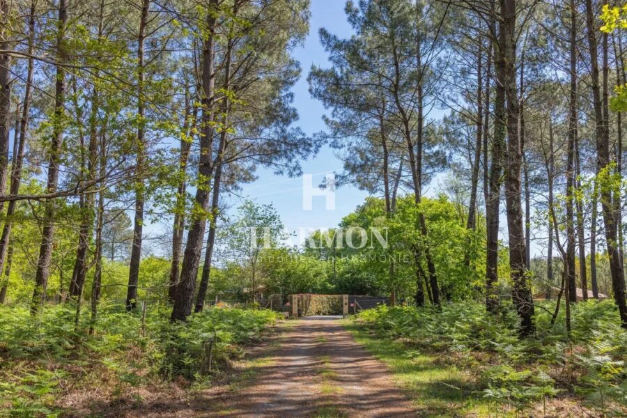 Maison à vendre à Sanguinet — Vue nature — photo 1