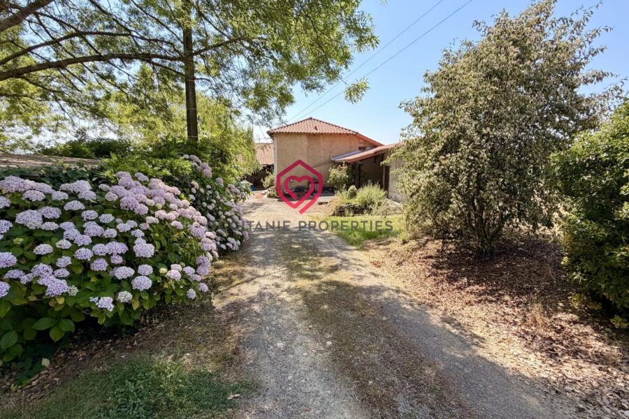 Maison à vendre à Escanecrabe — Vue montagne — photo 3