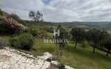Maison à vendre à Argagnon — Vue montagne — photo 18