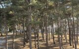 Maison à vendre à Le Touquet-Paris-Plage — Vue parc & jardin — photo 1