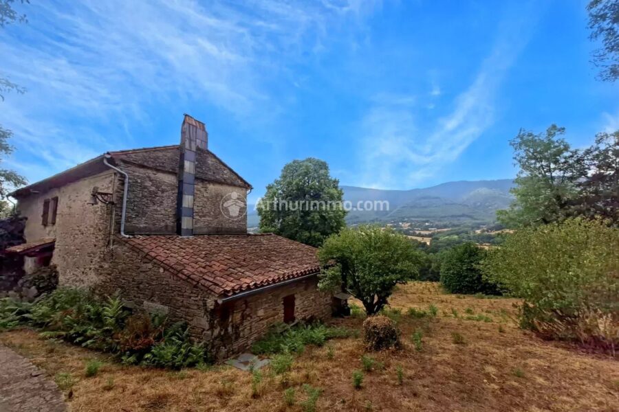 Maison à vendre à Saint-Amans-Valtoret — Vue montagne — photo 6