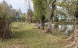 Terrain à vendre à Port-Brillet — Vue fleuve — photo 7