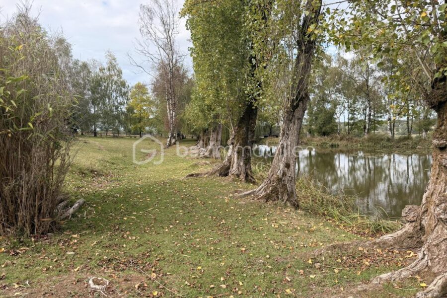 Terrain à vendre à Port-Brillet — Vue fleuve — photo 7