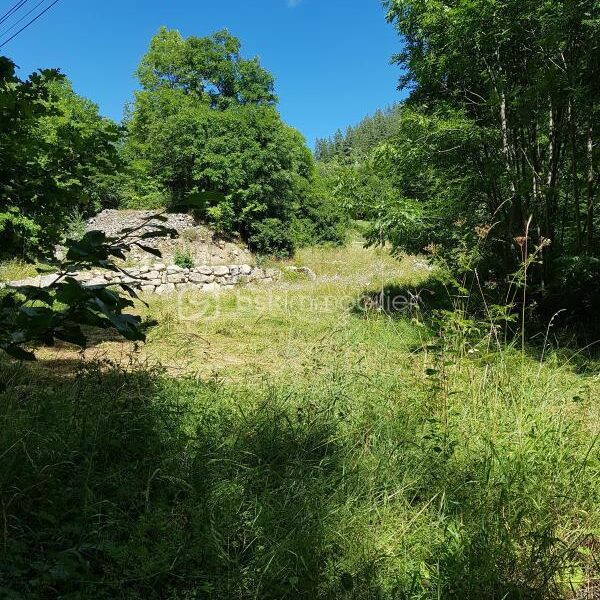 Terrain à vendre à Colmars — Vue montagne — photo 7