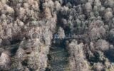Maison à vendre à Campan — Vue nature — photo 7