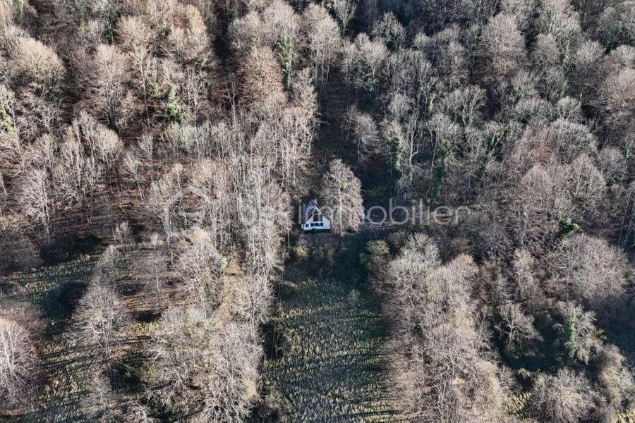 Maison à vendre à Campan — Vue nature — photo 7