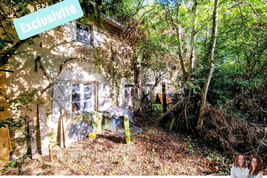 Maison à vendre à La Mothe-Saint-Héray — Vue nature — photo 7