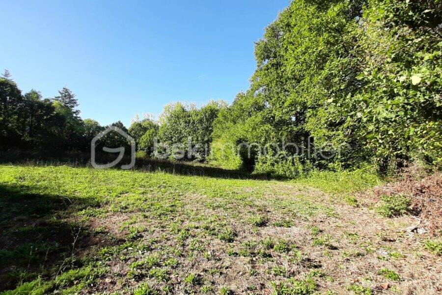 Terrain à vendre à Chaillac-sur-Vienne — Vue lac — photo 7