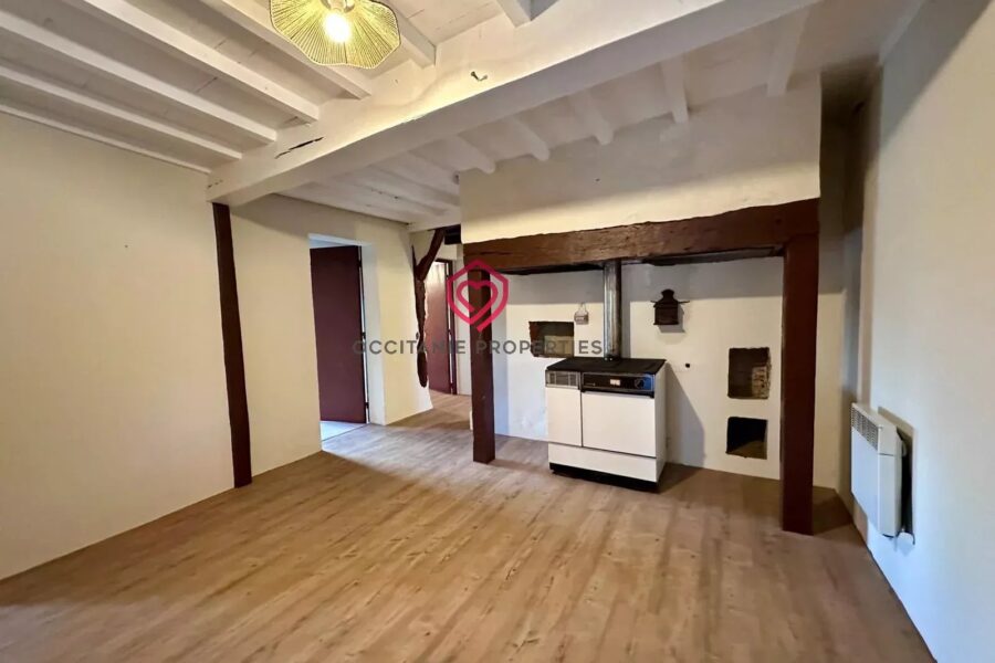 Maison à vendre à Riscle — Vue montagne — photo 9