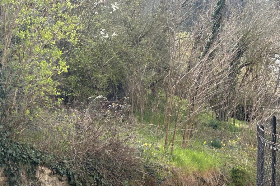 Maison à vendre à Jumeaux — Vue parc & jardin — photo 10