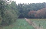 Terrain à vendre à Orléat — Vue dégagée — photo 2