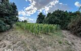 Maison à vendre à Sainte-Radégonde — Vue nature — photo 1