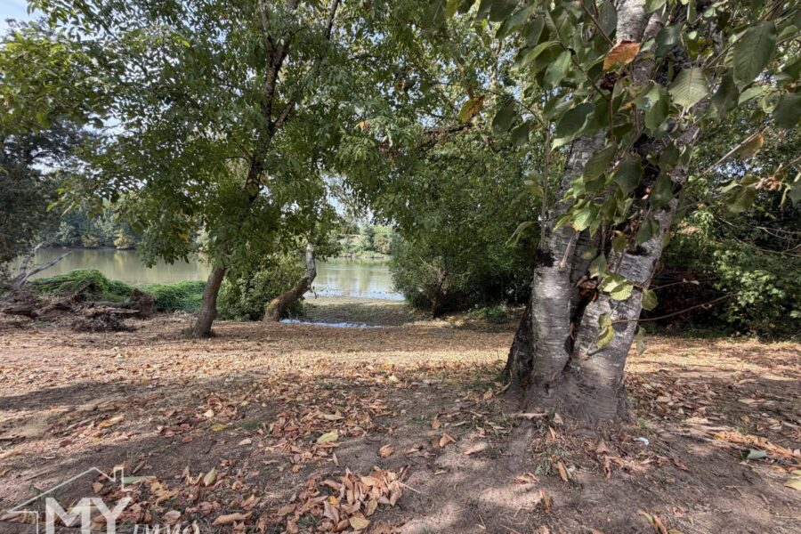 Maison à vendre à Saint-Pey-de-Castets — Vue parc & jardin — photo 24