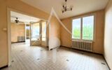 Maison à vendre à Lézat-sur-Lèze — Vue parc & jardin — photo 4