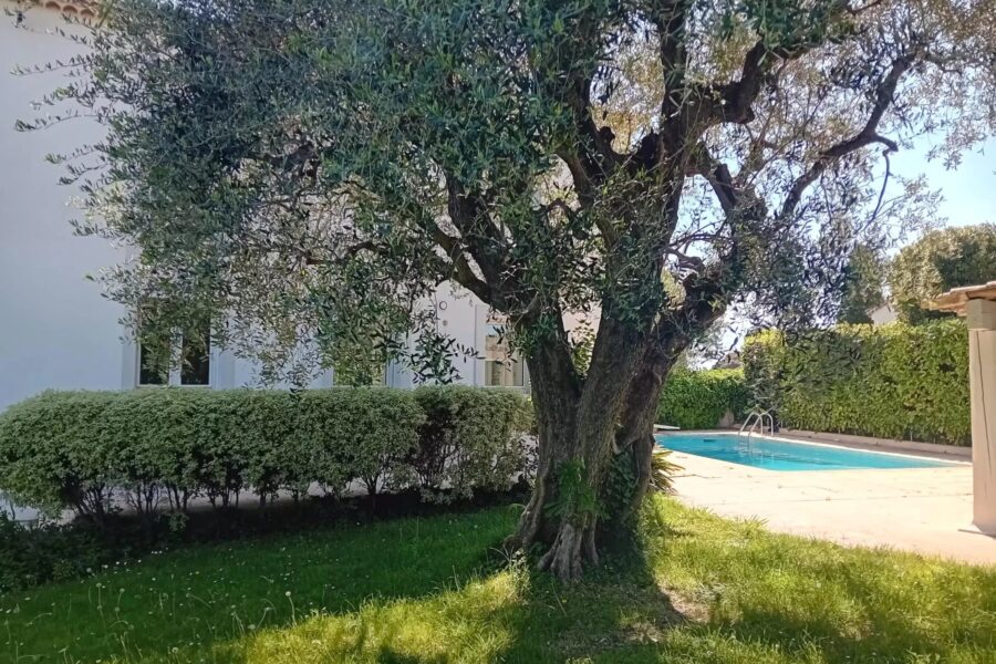 Maison à vendre à Le Cannet — Vue mer — photo 10