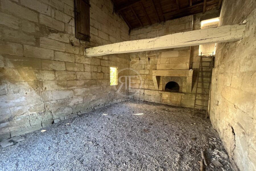 Maison à vendre à Les Artigues-de-Lussac — Vue nature — photo 28
