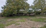 Maison à vendre à Seuilly — Vue nature — photo 15
