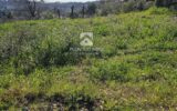 Terrain à vendre à Valbonne — Vue montagne — photo 2