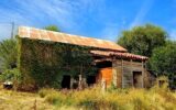 Maison à vendre à Mirandol-Bourgnounac — Vue nature — photo 17