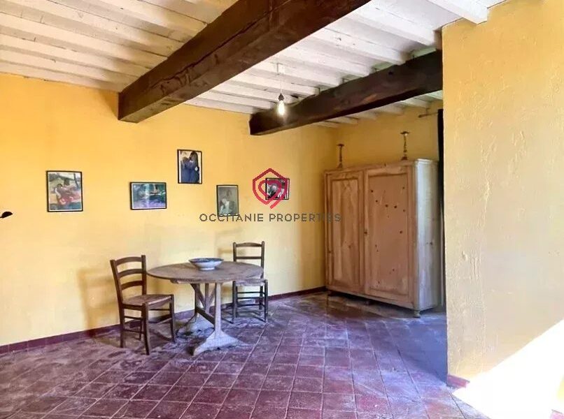 Maison à vendre à L&rsquo;Isle-en-Dodon — Vue montagne — photo 10
