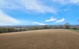 Maison à vendre à Castelnau-de-Lévis — Vue nature — photo 18