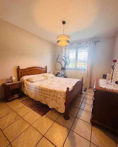 Maison à vendre à Marignier — Vue montagne — photo 22