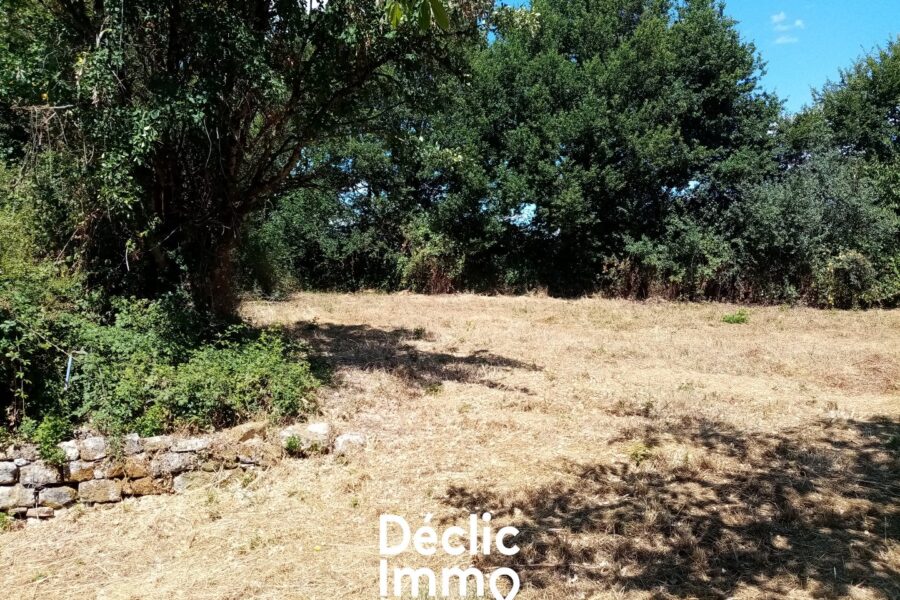 Terrain à vendre à Sanxay — photo 8