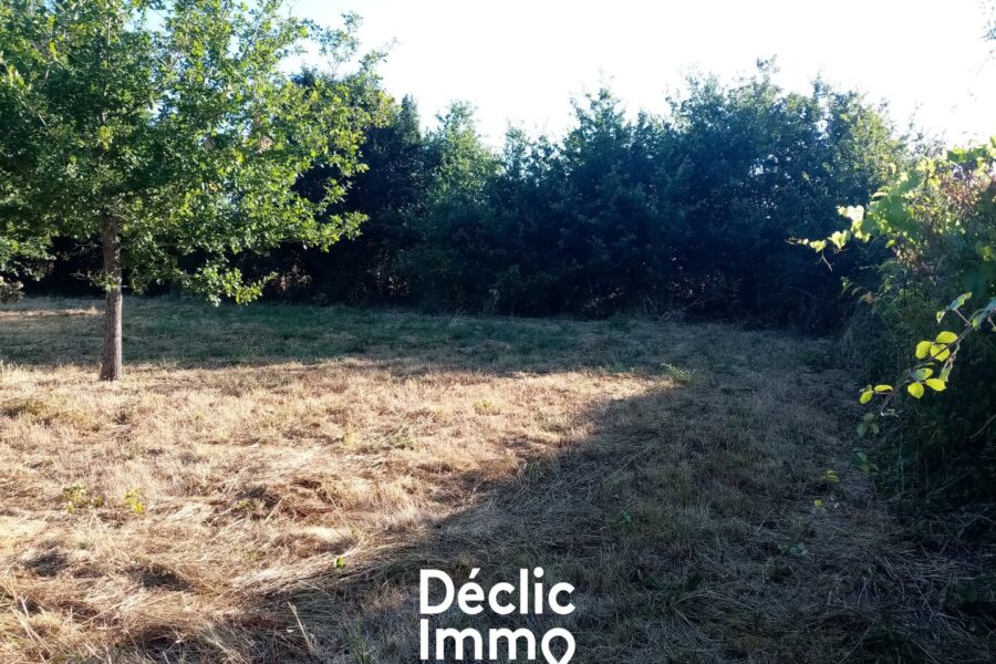 Terrain à vendre à Sanxay — photo 7