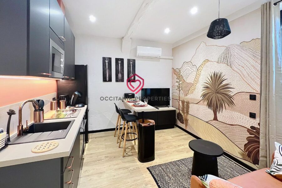 Maison à vendre à Castelnaudary — Vue montagne — photo 28