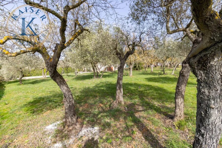 Maison à vendre à Tavernes — Vue nature — photo 18