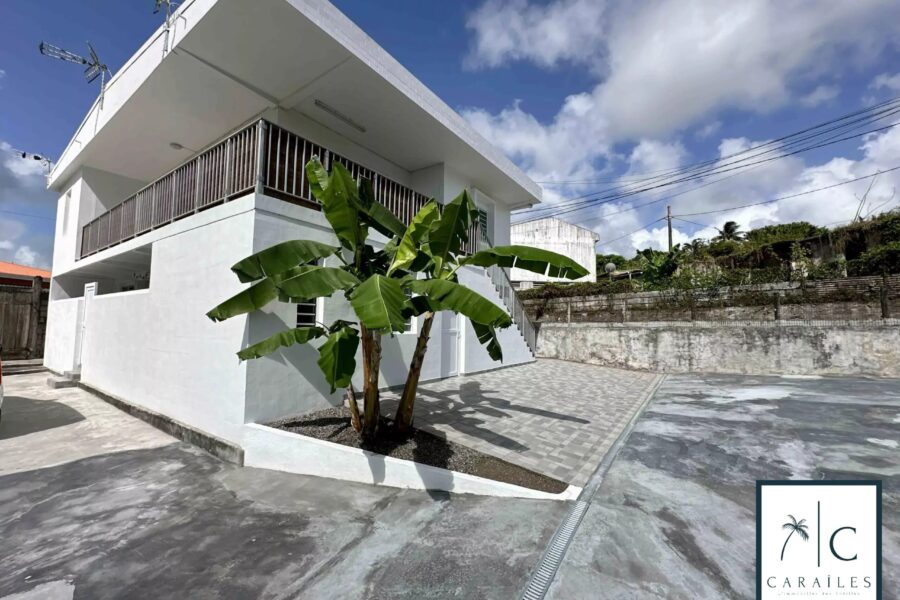Maison à vendre à Le Morne-Rouge — Vue nature — photo 4