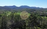 Appartement à vendre à Mandelieu-la-Napoule — Vue golf — photo 1
