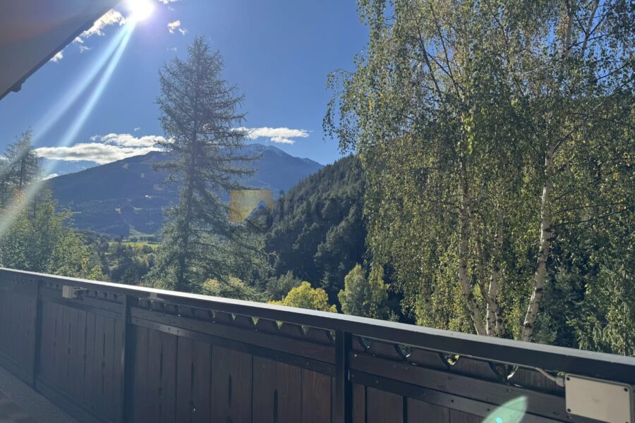 Appartement à louer à Valdidentro — Vue montagne — photo 15