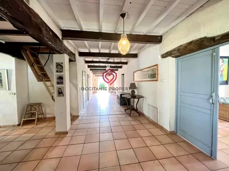 Maison à vendre à L&rsquo;Isle-en-Dodon — Vue montagne — photo 9