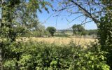 Maison à vendre à Saint-Péreuse — Vue nature — photo 1