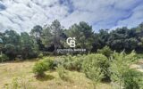Maison à vendre à Longeville-sur-Mer — Vue nature — photo 25