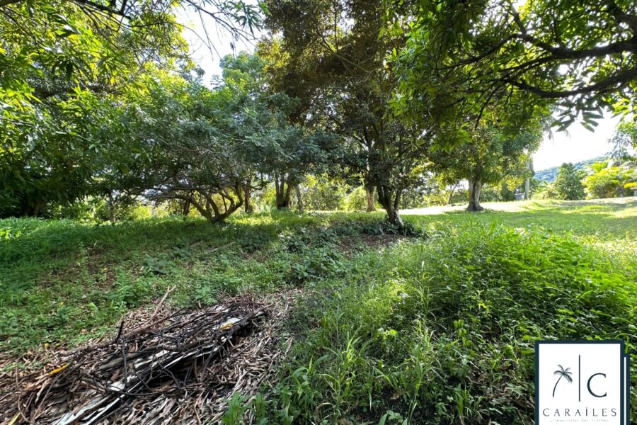 Terrain à vendre à Le François — photo 6